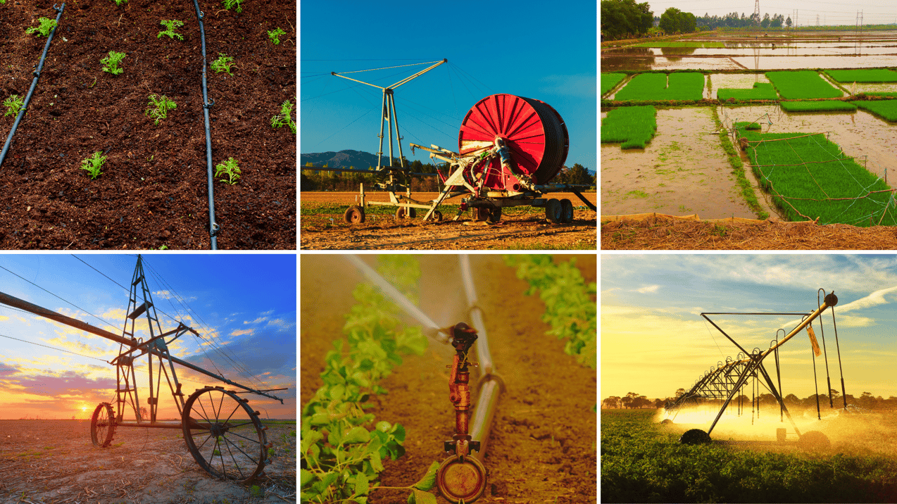 Ventajas Y Desventajas De Cada Sistema De Riego Agrícola Goteo Aspersión E Inundación 3251